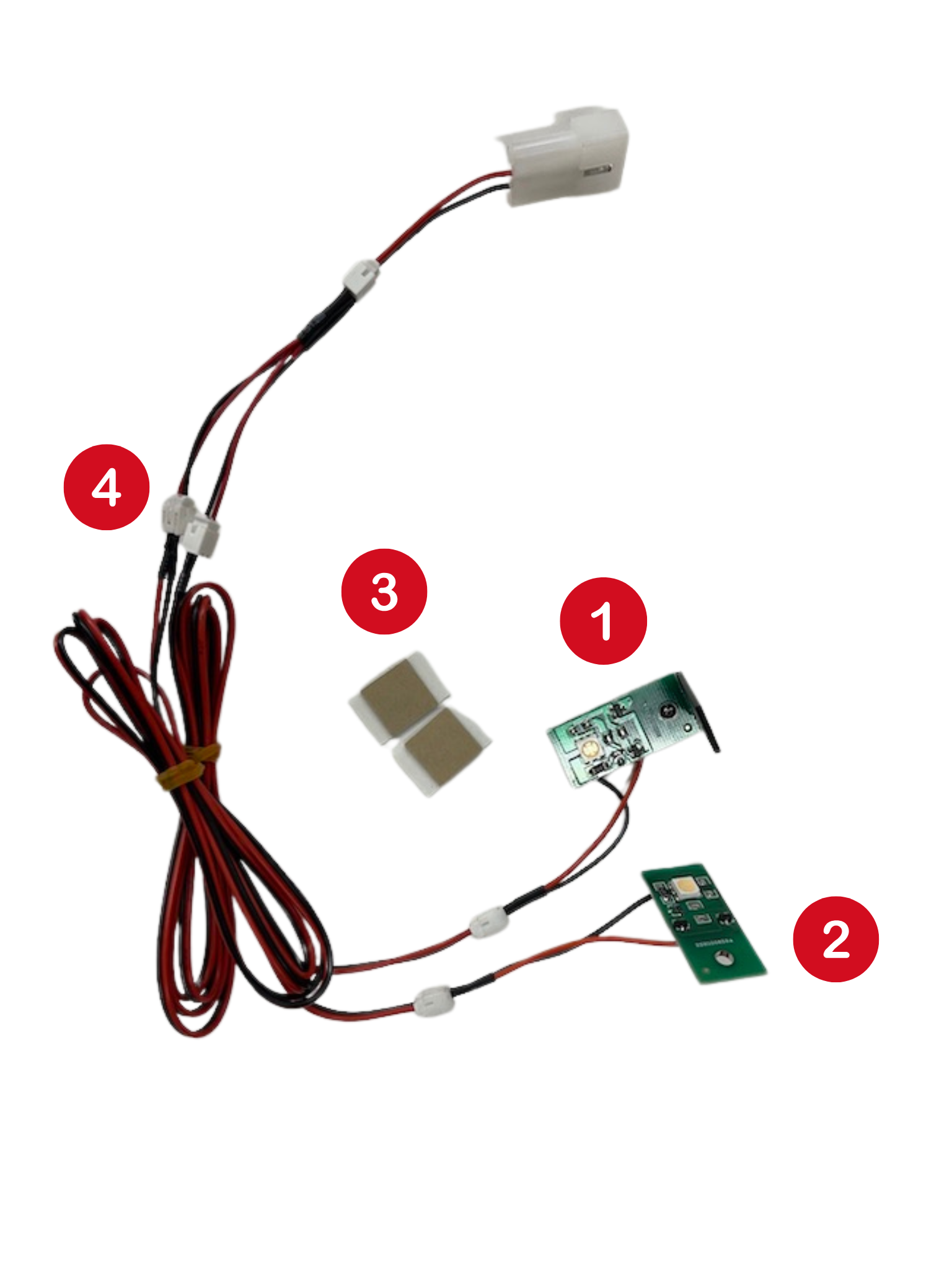 RNM Scoop and Ramp-WITB.png